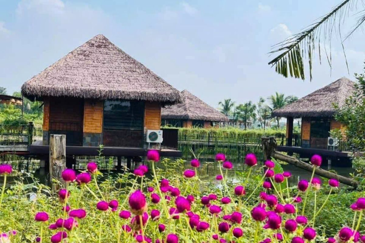 Nhà Cầu Mây Jacaranda