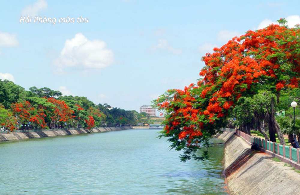 Khám Phá Hải Phòng – Foodtour Bất Tận & Check-in Chuẩn “Dân Chơi”