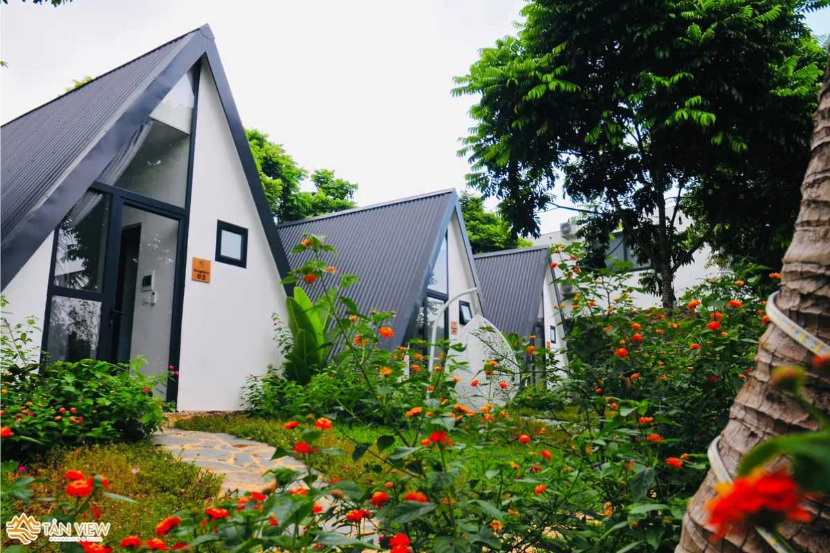 TV Bungalow, Ba Vì toàn cảnh 1