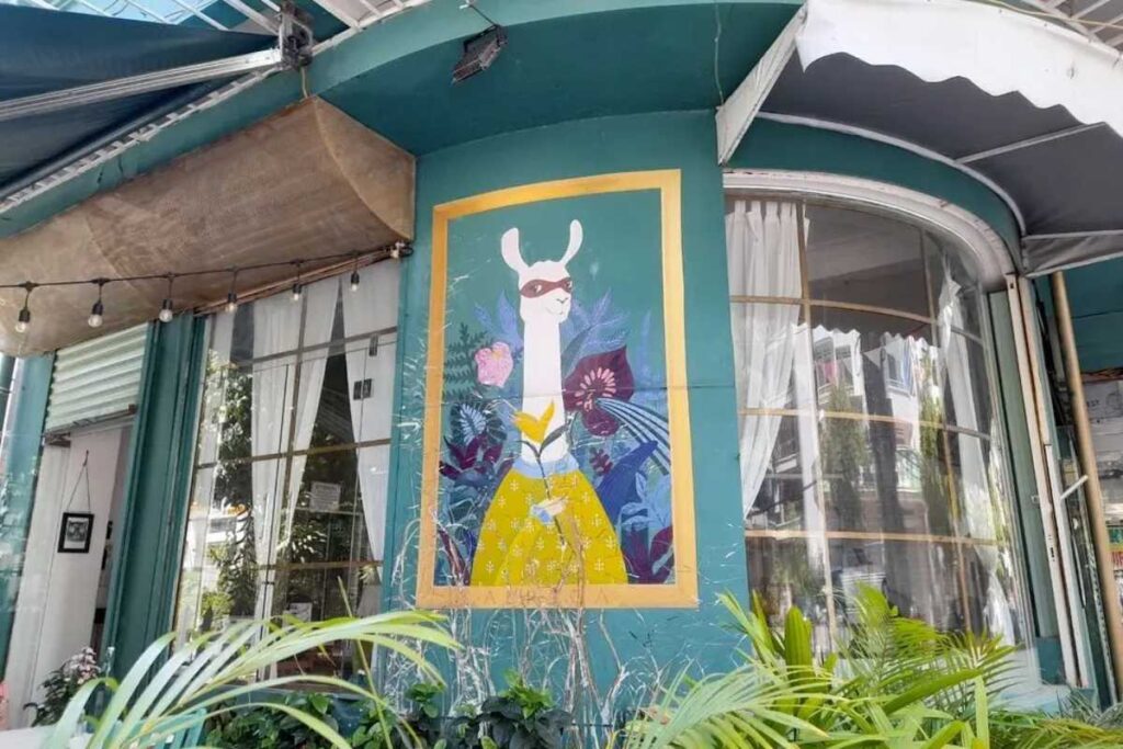 Bức tường tranh vẽ lạc đà Alpaca mặc váy vàng nổi tiếng tại Alpaca Cafe Nha Trang