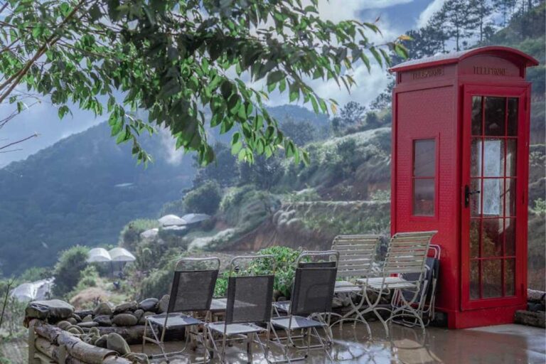 Bốt điện thoại đỏ biểu tượng và view đồi thông mờ sương tại Phoenix Garden Dalat Hill.