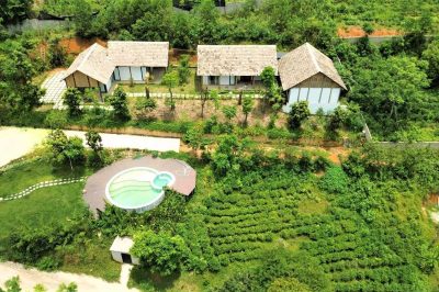Bungalow 8 - 6nature, Ba Vì bể bơi