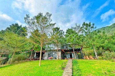 Cây Thông 1, Sóc Sơn (3)