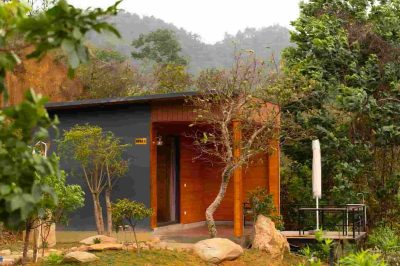Hoa Bên Suối 5, Sóc Sơn (7)