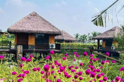 Nhà Cầu Mây Jacaranda