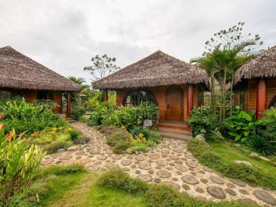 Toàn cảnh Nhà Giếng Ngọc Jacaranda