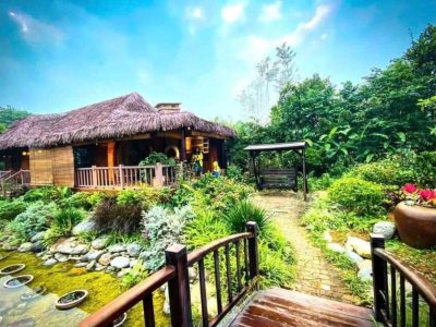 Toàn cảnh Nhà Ngoại Jacaranda